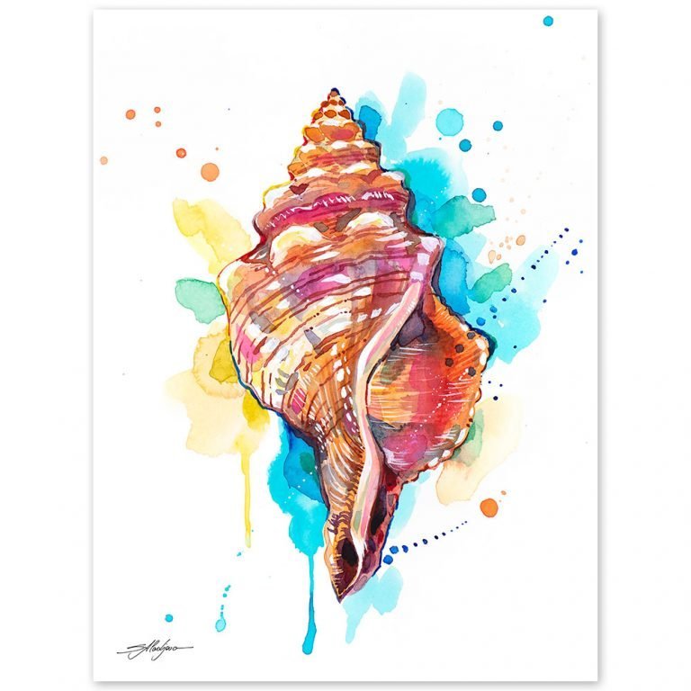 Seashell Watercolor Painting Print By Slaveika Aladjova