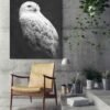 Snowy owl framed canvas