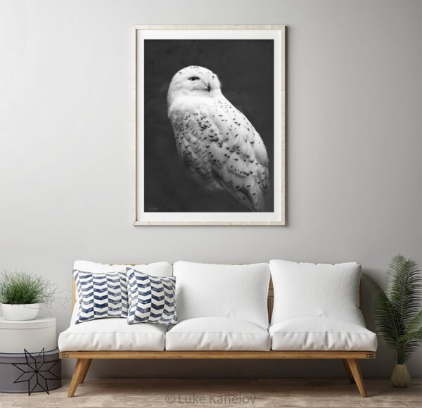 Snowy owl photography print