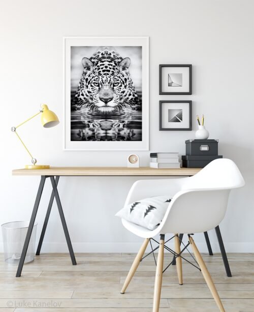 leopard fine art print