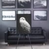 Snowy owl framed canvas Snowy owl - Framed Canvas print