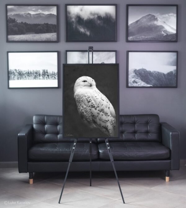 Snowy owl framed canvas Snowy owl - Framed Canvas print