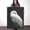 Snowy owl framed canvas
