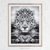 leopard fine art print leopard fine art print