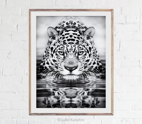 leopard fine art print leopard fine art print