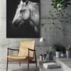 Black and white horse canvas