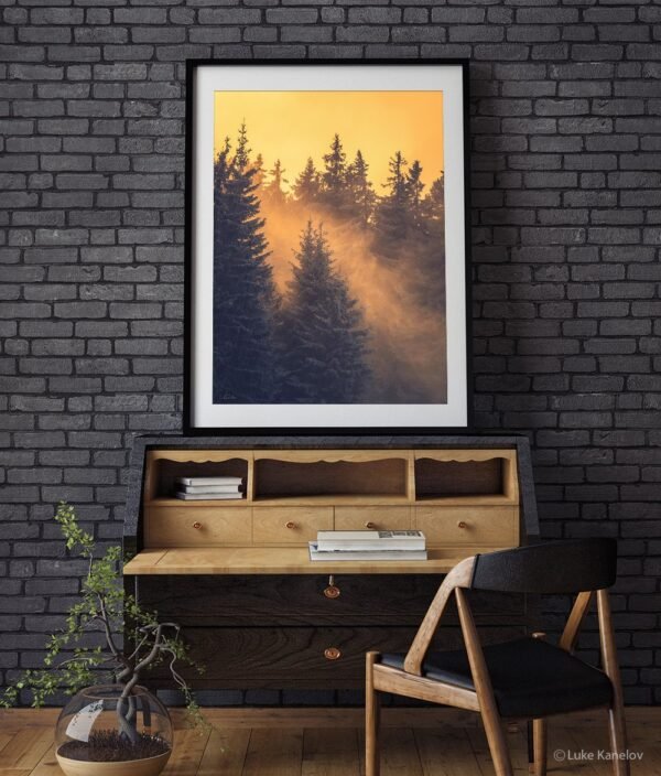 Winter forest landscape