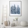 Winter landscape