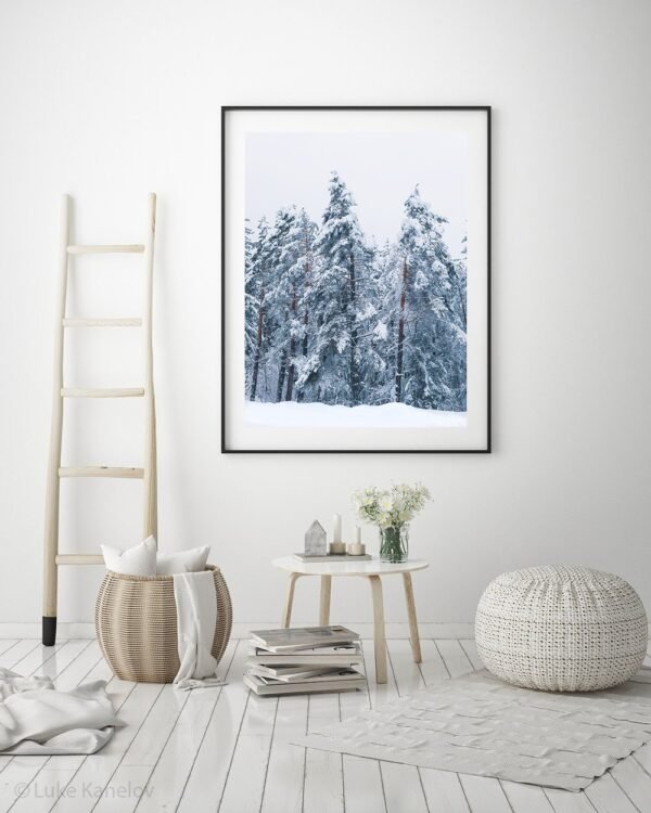 Winter landscape