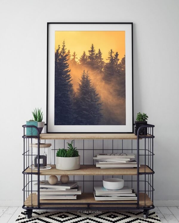 Winter forest landscape