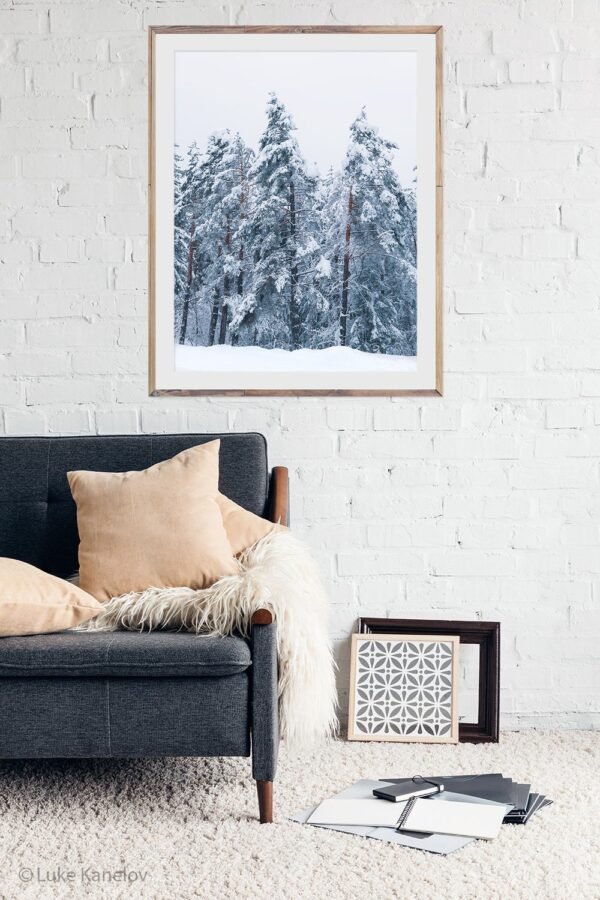 Winter landscape