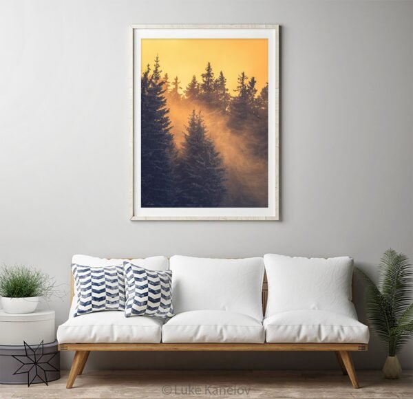 Winter forest landscape