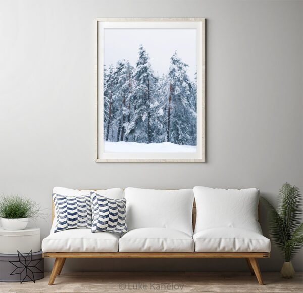 Winter landscape