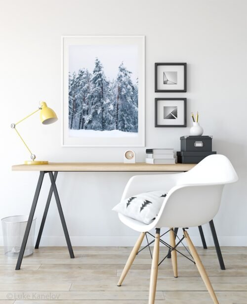 Winter landscape