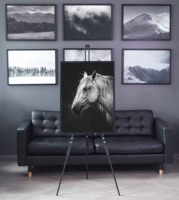 Black and white horse canvas