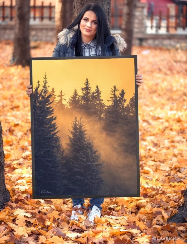 Winter forest landscape