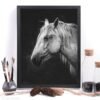 Black and white horse canvas