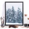 Winter landscape