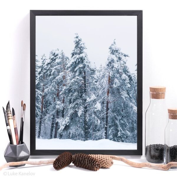 Winter landscape