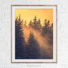 Winter forest landscape