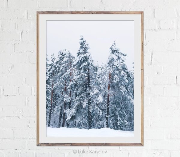Winter landscape