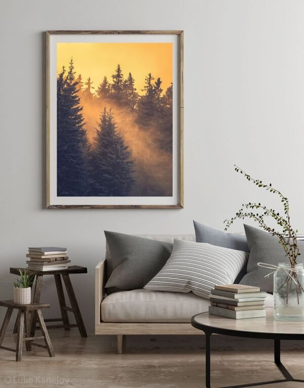 Winter forest landscape