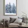 Winter landscape