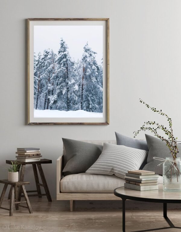 Winter landscape