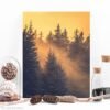 Winter forest landscape