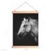 White horse wall decor