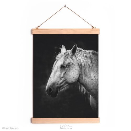 White horse wall decor