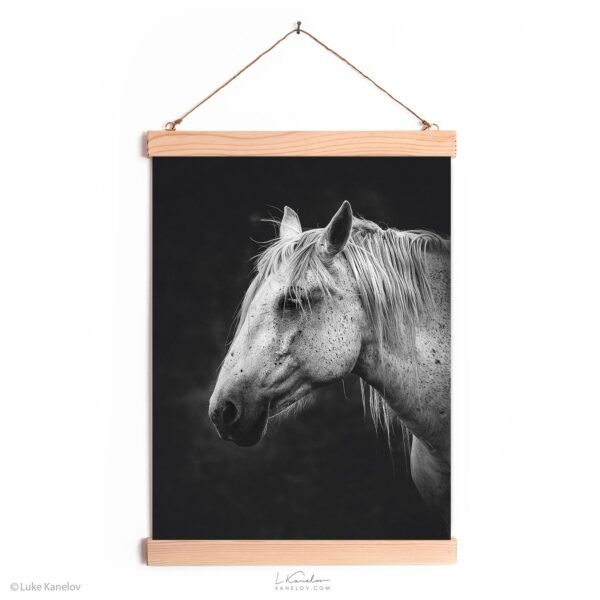 White horse wall decor