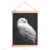 Snowy owl canvas