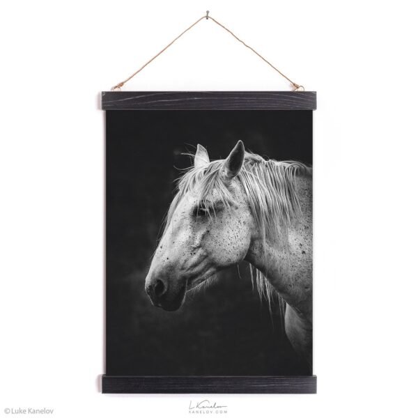 White horse wall decor