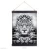 Leopard black and white print Leopard black and white print