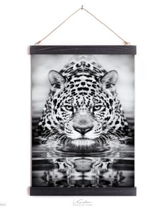 Leopard black and white print