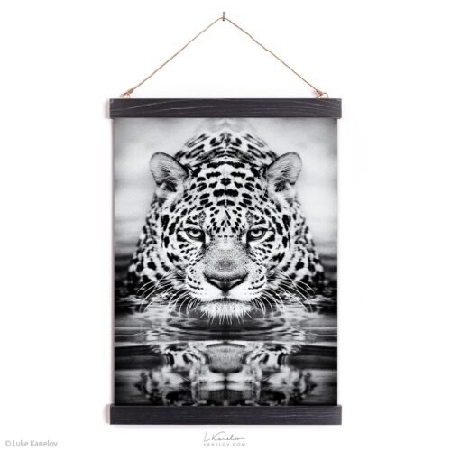 Leopard black and white print
