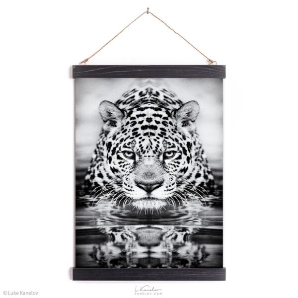 Leopard black and white print Leopard black and white print