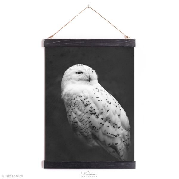 Snowy owl canvas