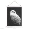 Snowy owl canvas