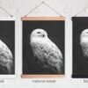 Snowy owl canvas