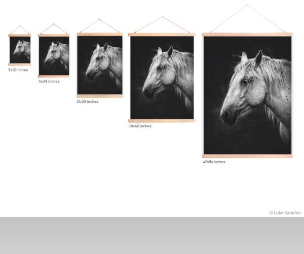 White horse wall decor
