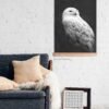 Snowy owl canvas