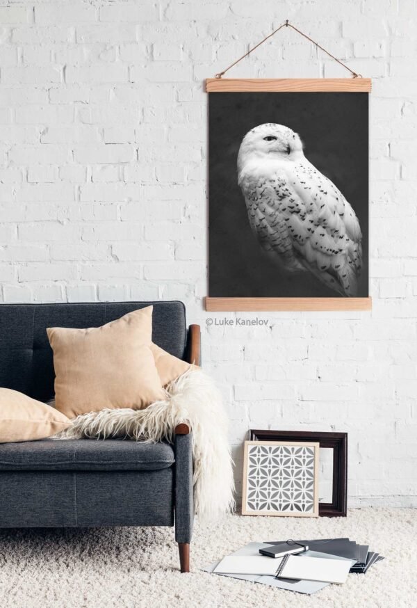 Snowy owl canvas