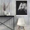 White horse wall decor