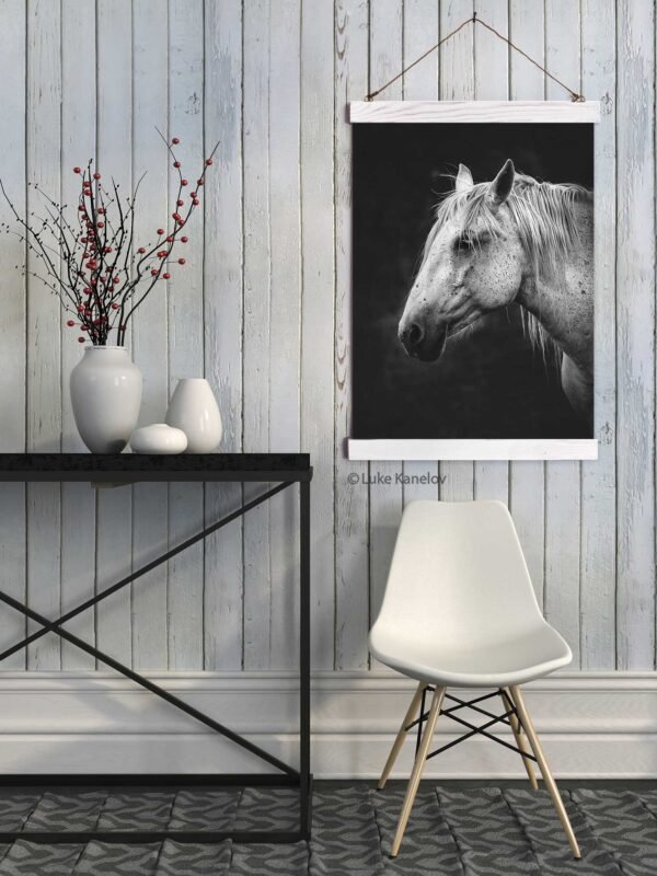 White horse wall decor