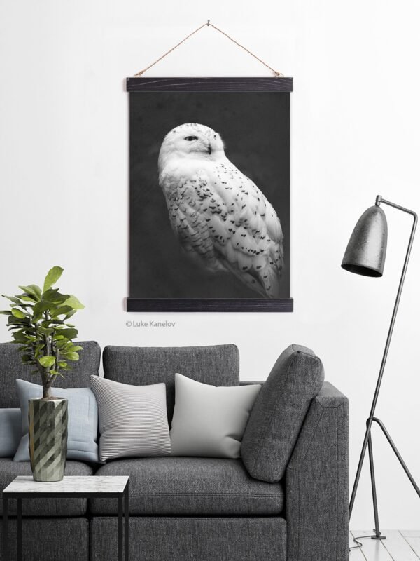Snowy owl canvas