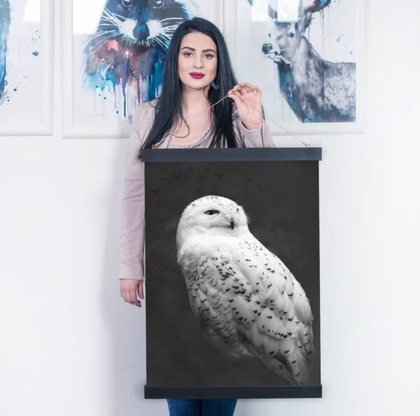 Snowy owl canvas