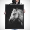 Black and white horse canvas