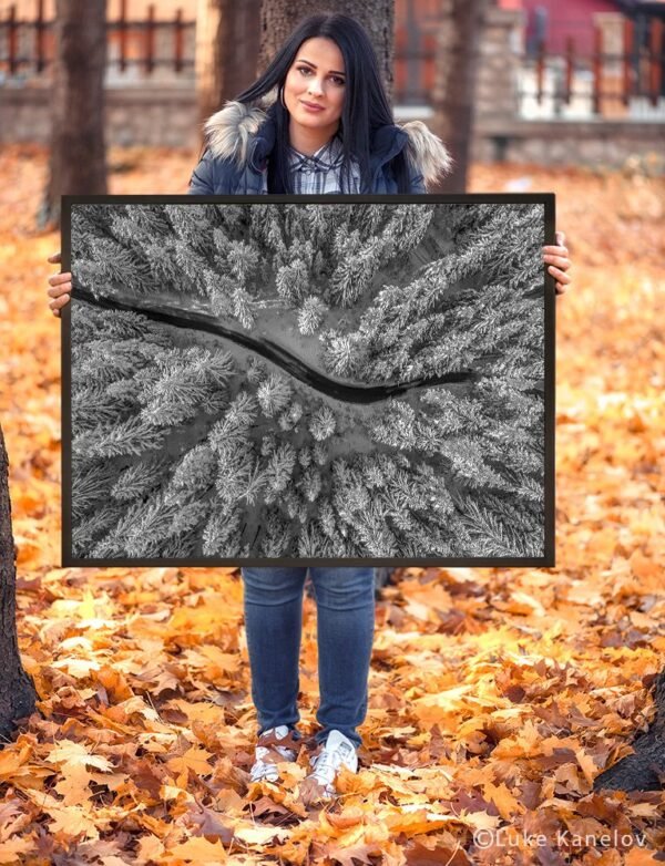 Aerial view of winter forest covered in snow – Framed Canvas